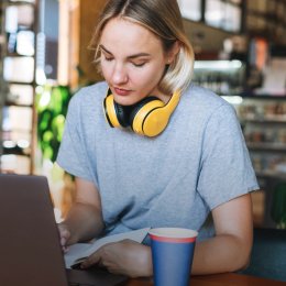 Build Education Website Using WordPress